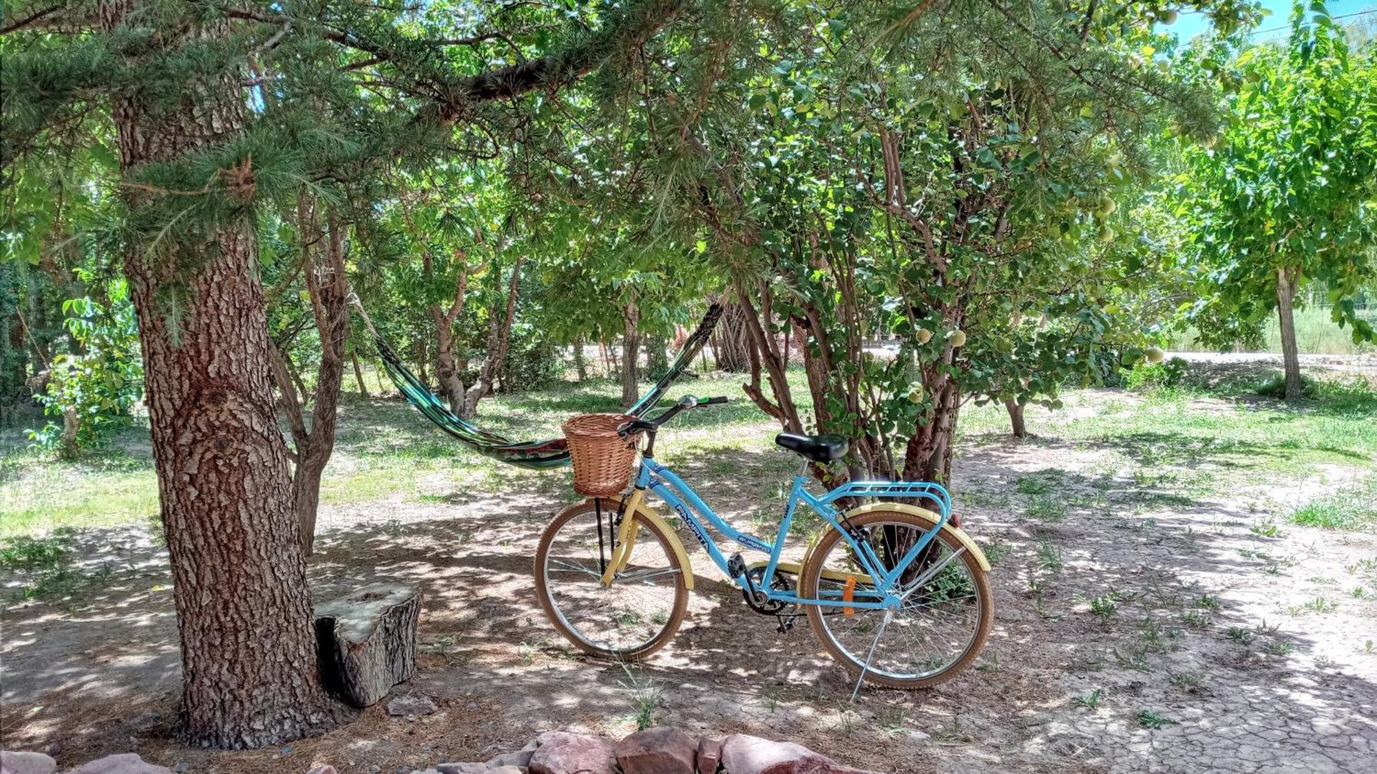 Aire De Barreal Hostel Andino Bagian luar foto
