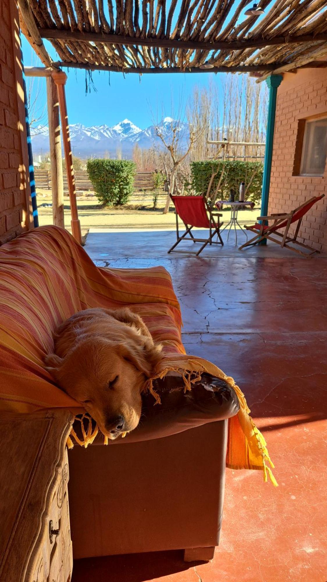 Aire De Barreal Hostel Andino Bagian luar foto