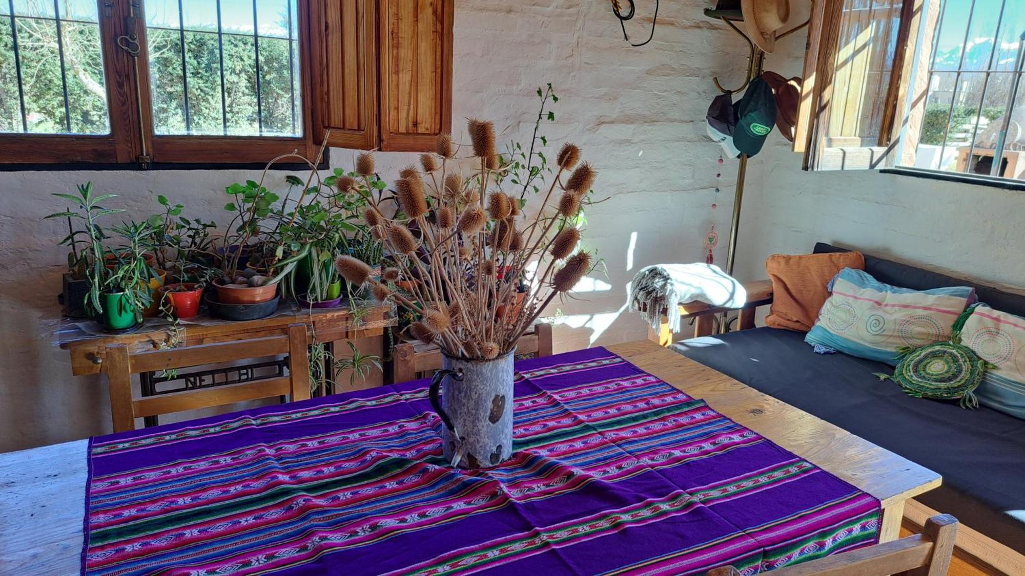 Aire De Barreal Hostel Andino Bagian luar foto
